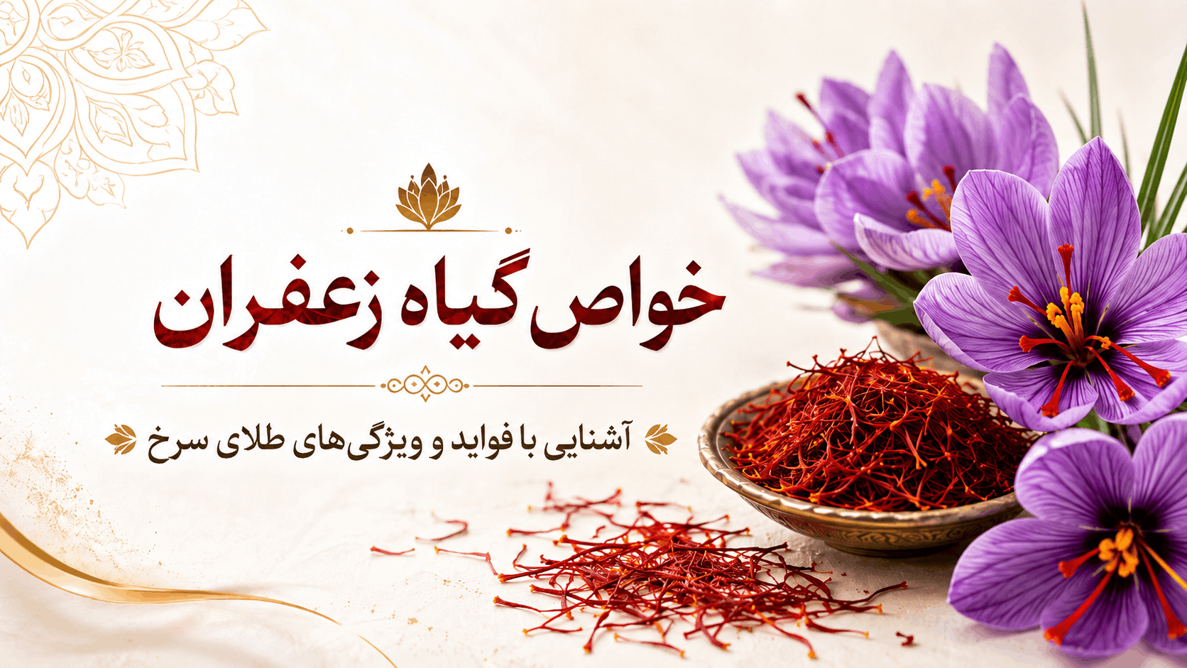 خواص گیاه زعفران؛ آشنایی کامل با فواید طلای سرخ